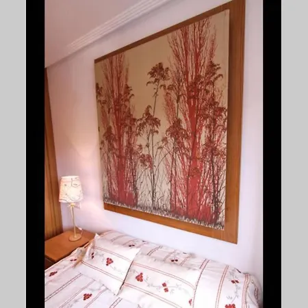 En Alta Turismo Vut 265as Ribadesella